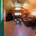 dpm-nelson-cabin-living-1